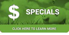 click here to learn more about specials